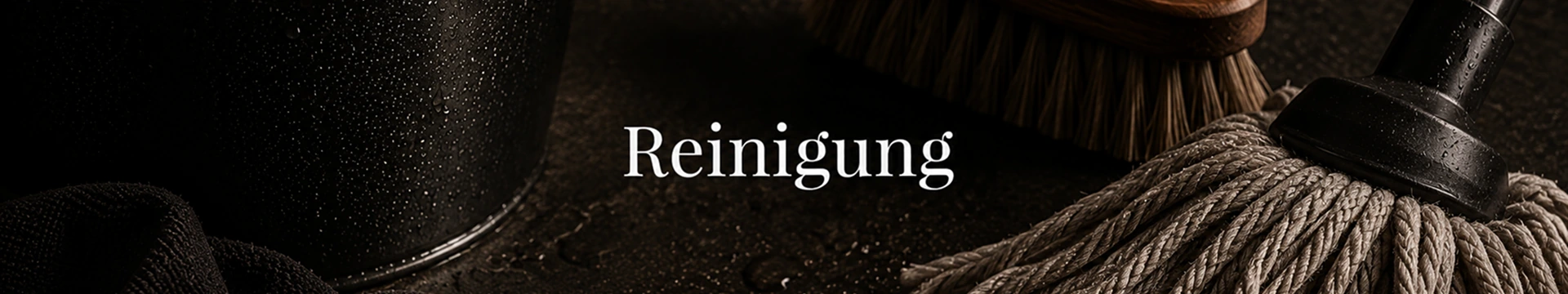 Reinigung